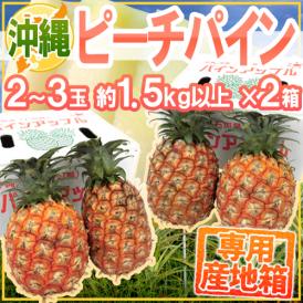 沖縄産 ”ピーチパイン” 2～3玉 約1.5kg以上×《2箱》 専用産地箱 パイナップル【予約 3月下旬以降】 送料無料