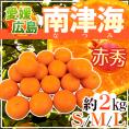 愛媛・広島 ”南津海みかん(なつみみかん)” 赤秀品 S/M/Lサイズ 約2kg【予約 4月下旬以降】 送料無料