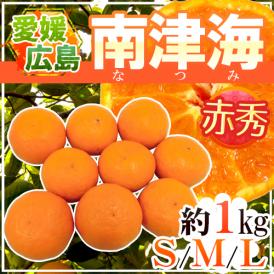 愛媛・広島 ”南津海みかん（なつみみかん）” 赤秀品 S/M/Lサイズ 約1kg【予約 4月下旬以降】 送料無料
