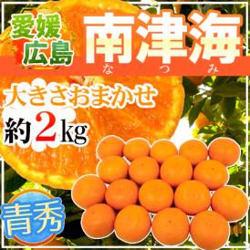 愛媛・広島 ”南津海みかん（なつみみかん）” 青秀品 約2kg 大きさおまかせ【予約 4月下旬以降】 送料無料