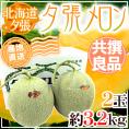 【産地直送】北海道 夕張メロン 2玉 約3.2kg 共撰・良品 化粧箱入り”良5-2玉”【予約 6月下旬以降】 送料無料
