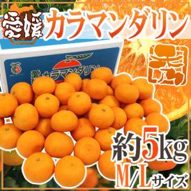 愛媛産 ”カラマンダリン” 秀品 M/L 約5kg【予約 4月下旬以降】 送料無料