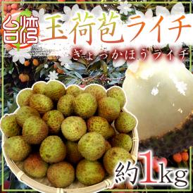 ”生グリーンライチ 玉荷苞（ぎょっかほう）” 約1kg 台湾産 レイシ 茘枝 玉荷包【予約 5月末以降】