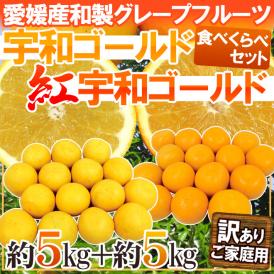 愛媛県 ”宇和ゴールド＋紅宇和ゴールドセット” 訳あり 約5kg＋約5kg（合計10kg） 大きさおまかせ【予約 4月下旬以降】 送料無料