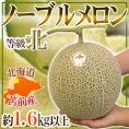 メロン JAとままえ産 ”北海道 ノーブルメロン” 等級 北 1玉 約1.6kg以上【予約 7月下旬以降】 送料無料