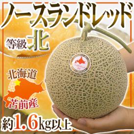 メロン JAとままえ産 ”北海道 ノースランドレッド” 等級 北 1玉 約1.6kg以上【予約 7月下旬以降】 送料無料