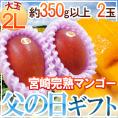 父の日ギフト &rdquo;宮崎完熟マンゴー&rdquo; 秀品 大玉2L 2玉 簡易箱入り【予約 6月14～21日お届け予定】