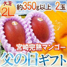 父の日ギフト ”宮崎完熟マンゴー” 秀品 大玉2L 2玉 簡易箱入り【予約 6月8～15日お届け予定】
