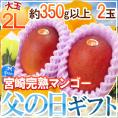父の日ギフト &rdquo;宮崎完熟マンゴー&rdquo; 秀品 大玉2L 2玉+バラ造花1本【予約 6月14～21日お届け予定】