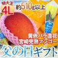 父の日ギフト &rdquo;宮崎完熟マンゴー&rdquo; 秀品 特大玉4L 1玉+バラ造花1本【予約 6月14～21日お届け予定】 送料無料