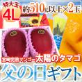 父の日ギフト ”太陽のタマゴ” 特大玉4L 2玉+黄色バラ造花1本 産地化粧箱【予約 6月14~21日お届け予定】