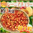 ”アメリカ産 レーニアチェリー” 超大粒 約3kg さくらんぼ【予約 6月下旬以降】 送料無料