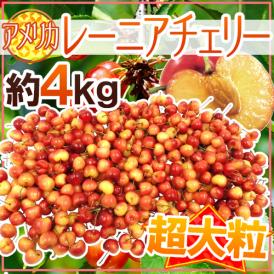 アメリカ産 ”レーニアチェリー” 超大粒 約4kg さくらんぼ【予約 6月下旬以降】 送料無料