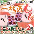 山梨県 JAふえふき 八代地区 ”一桃匠” 5～6玉入り 約1.5kg×《2箱》 化粧箱【予約 6月末以降】 送料無料