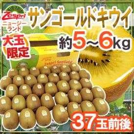 ゼスプリ ”サンゴールドキウイ” 大玉 37玉前後 約6kg【予約 4月下旬以降】 送料無料