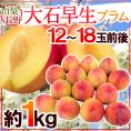 山梨・長野県産 すもも ”大石早生プラム” 12～18玉前後 約1kg【予約 7月以降】 送料無料