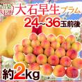 山梨・長野県産 すもも ”大石早生プラム” 24～36玉前後 約2kg【予約 7月以降】 送料無料