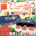 山梨県産 特選桃 ”かのいわのぴ～一番” 3玉 約900g×《2箱》 特秀品/信玄等級 糖度13度以上保証【予約 7月以降】 送料無料