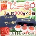 山梨県産 特選桃 ”かのいわのぴ～一番” 3玉 約900g×《3箱》 特秀品/信玄等級 糖度13度以上保証【予約 7月以降】 送料無料