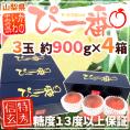 山梨県産 特選桃 ”かのいわのぴ～一番” 3玉 約900g×《4箱》 特秀品/信玄等級 糖度13度以上保証【予約 7月以降】 送料無料