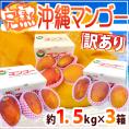 沖縄産 ”完熟マンゴー” 訳あり 約1.5kg×《3箱》 9～15玉前後 産地箱 沖縄マンゴー【予約 7月下旬以降】 送料無料
