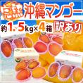 沖縄産 ”完熟マンゴー” 訳あり 約1.5kg×《4箱》 12～20玉前後 産地箱 沖縄マンゴー【予約 7月下旬以降】 送料無料