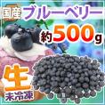 ”国産ブルーベリー” 約500g 産地厳選 生ブルーベリー【予約 6月中旬以降】 送料無料