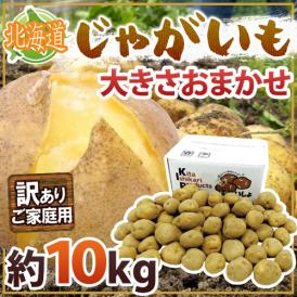 北海道産 ”じゃがいも” 訳あり 約10kg 大きさおまかせ【予約 入荷次第発送】 送料無料