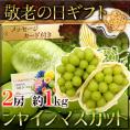 敬老の日ギフト ”シャインマスカット” 2房 約1kg 産地厳選【予約 9月7～15日お届け予定】 送料無料