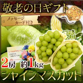 遅れてごめんね！敬老の日ギフト ”シャインマスカット” 2房 約1kg 産地厳選【予約 9月17日以降】 送料無料