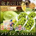 敬老の日ギフト ”シャインマスカット” 3～5房 約2kg 産地厳選【予約 9月7～15日お届け予定】 送料無料