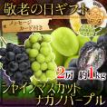 敬老の日ギフト ”シャインマスカット＋ナガノパープル 食べ比べセット” 2房 約1kg 産地厳選/長野産【予約 9月7～15日お届け予定】 送料無料