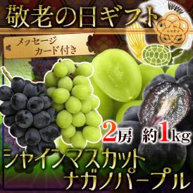 敬老の日ギフト ”シャインマスカット＋ナガノパープル 食べ比べセット” 2房 約1kg 産地厳選/長野産【予約 9月7～15日お届け予定】 送料無料