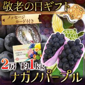 敬老の日ギフト ”長野産 ナガノパープル” 2房 約1kg 【予約 9月7～15日お届け予定】 送料無料