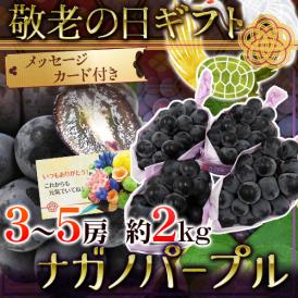 敬老の日ギフト ”長野産 ナガノパープル” 3～5房 約2kg 【予約 9月7～15日お届け予定】 送料無料
