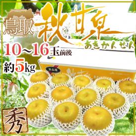 鳥取県 ”秋甘泉梨” 秀品 10～16玉前後 約5kg【予約 9月以降】 送料無料