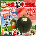 ”鳥取県 大栄黒小玉スイカ” 秀品 1玉 約2kg 化粧箱入り すいか【予約 9月以降】 送料無料