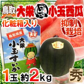 ”鳥取県 大栄黒小玉スイカ” 秀品 1玉 約2kg 化粧箱入り すいか【予約 9月以降】 送料無料
