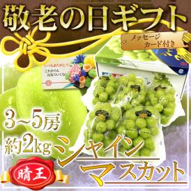 敬老の日ギフト 岡山産 ”シャインマスカット「晴王」” 3～5房 約2kg 産地化粧箱【予約 9月7～15日お届け予定】 送料無料