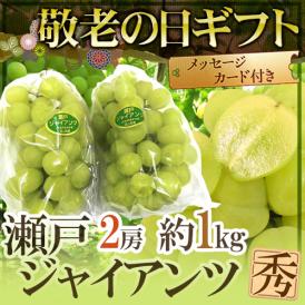 敬老の日ギフト 岡山産 ”瀬戸ジャイアンツ” 2房 約1kg【予約 9月7～15日お届け予定】 送料無料