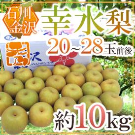 石川県 金沢産 ”幸水梨” 秀品 20～28玉前後 約10kg【予約 8月末以降】 送料無料