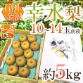 ”石川県 金沢産 幸水梨” 秀品 10～14玉前後 約5kg【予約 8月末以降】 送料無料