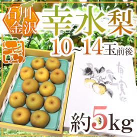 ”石川県 金沢産 幸水梨” 秀品 10～14玉前後 約5kg【予約 8月末以降】 送料無料