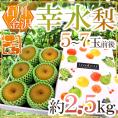 ”石川県 金沢産 幸水梨” 秀品 5～7玉前後 約2.5kg【予約 8月末以降】 送料無料