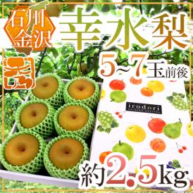 ”石川県 金沢産 幸水梨” 秀品 5～7玉前後 約2.5kg【予約 8月末以降】 送料無料