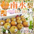 石川県 金沢産 ”南水梨” 秀品 10〜16玉前後 約5kg【予約 9月以降】 送料無料