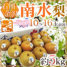 石川県 金沢産 ”南水梨” 秀品 10〜16玉前後 約5kg【予約 9月以降】 送料無料