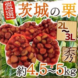 ”茨城の和栗” 秀品 大粒2L～3Lサイズ 約4.5～5kg【予約 9月下旬以降】 送料無料