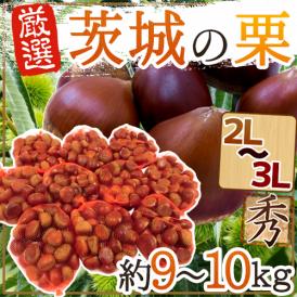 ”茨城の和栗” 秀品 大粒2L～3Lサイズ 約9～10kg【予約 9月下旬以降】 送料無料