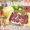 ”クイーンニーナ” 秀品 5～10房 約5kg 産地厳選 赤ぶどう【予約 9月下旬以降】 送料無料